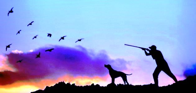Read more about the article اعلان مسابقة توظيف بالمنطقة المحافظة على تكاثر الصيد معسكر